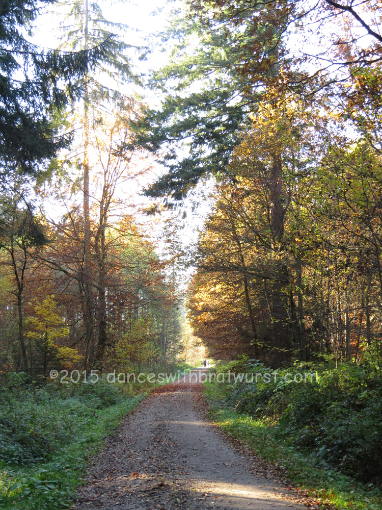 On the way to the Plantage