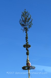 Fresh Maibaum in one of the villages.