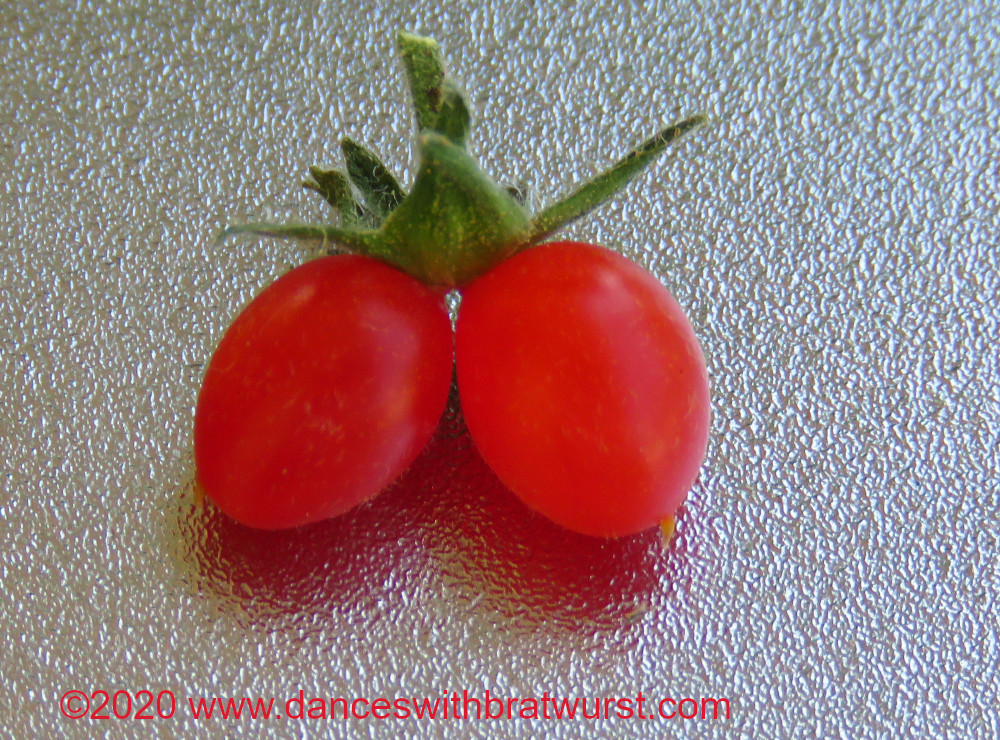 Close-up image of two very tiny tomatoes.